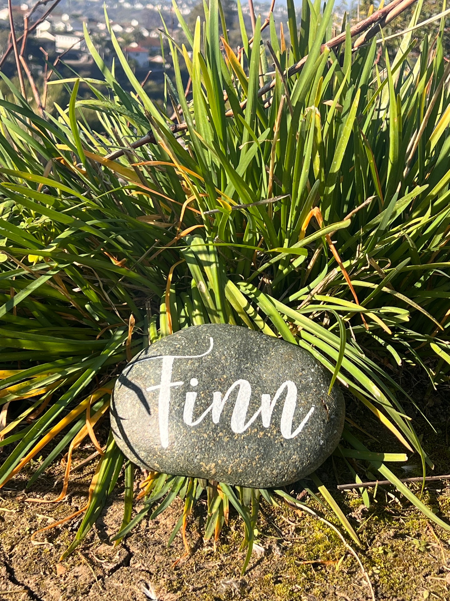 Hand Painted Pet Memorial Stone | Dog Loss Sympathy Gift